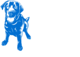 Be Seen Hire